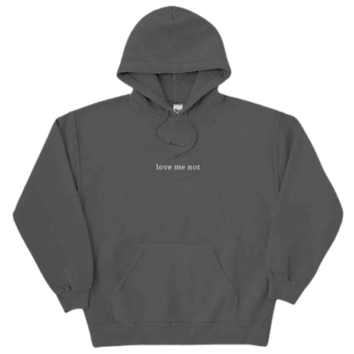 lmn heavyweight embroidered hoodie